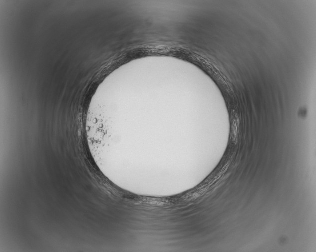X0000116281204201001111028