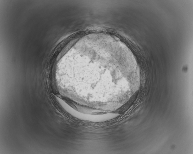 X0000116281206201001111028
