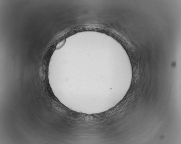 X0000116281207201001111028