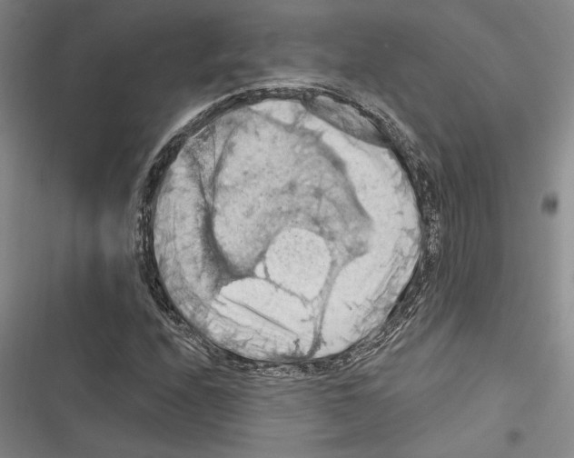 X0000116281208201001111028