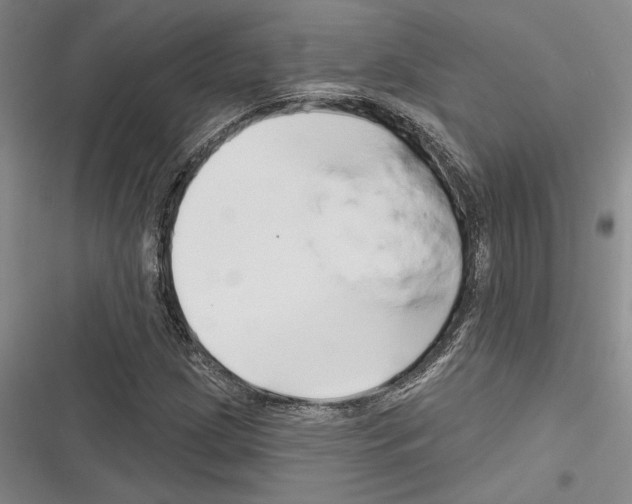 X0000116281209201001111028