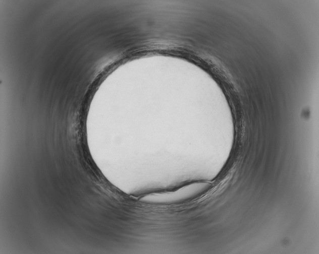 X0000116281210201001111028