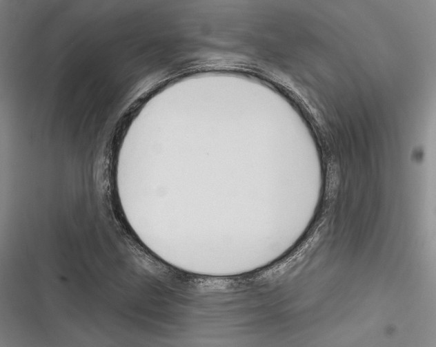 X0000116281211201001111028