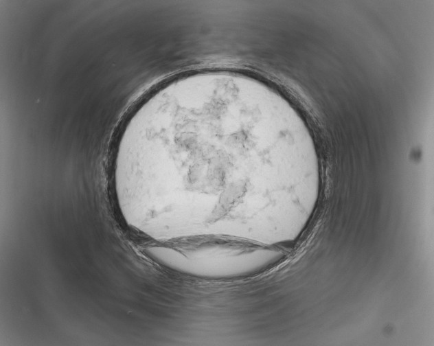 X0000116281212201001111028