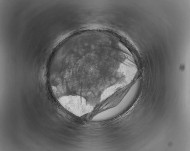 X0000116281213201001111028