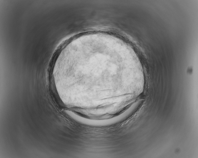 X0000116281214201001111028