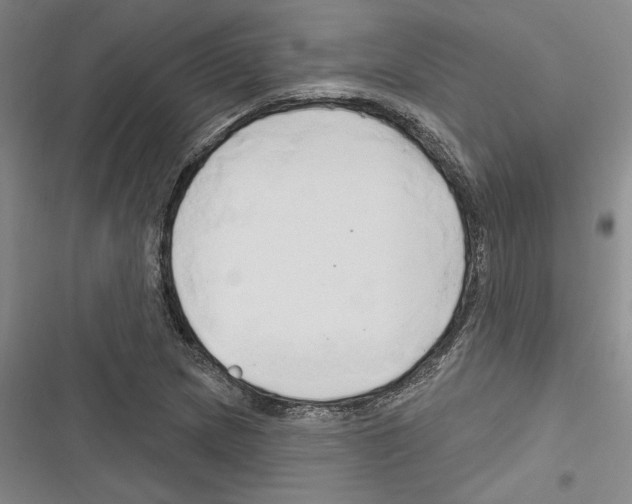 X0000116281217201001111028