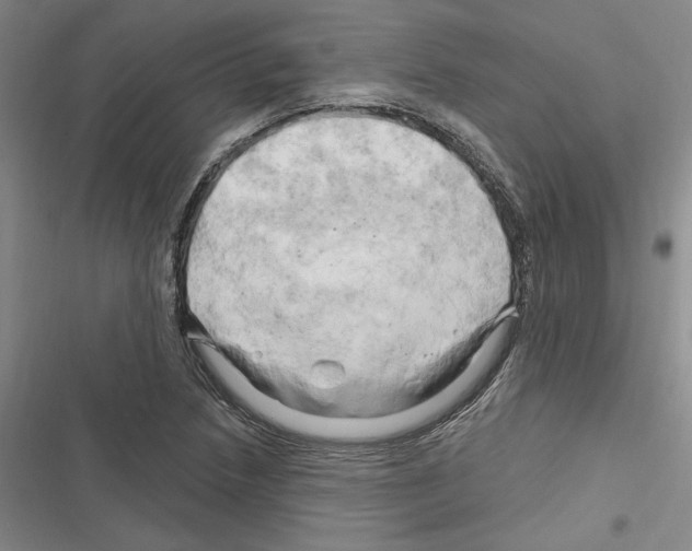 X0000116281218201001111028