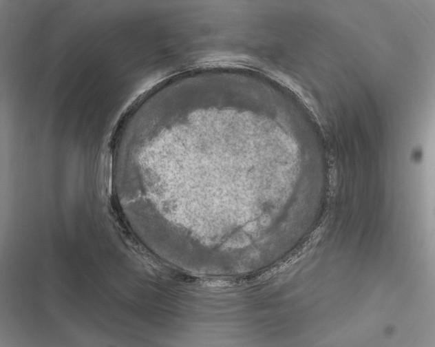 X0000116281219201001111028