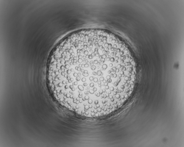 X0000116281220201001111028