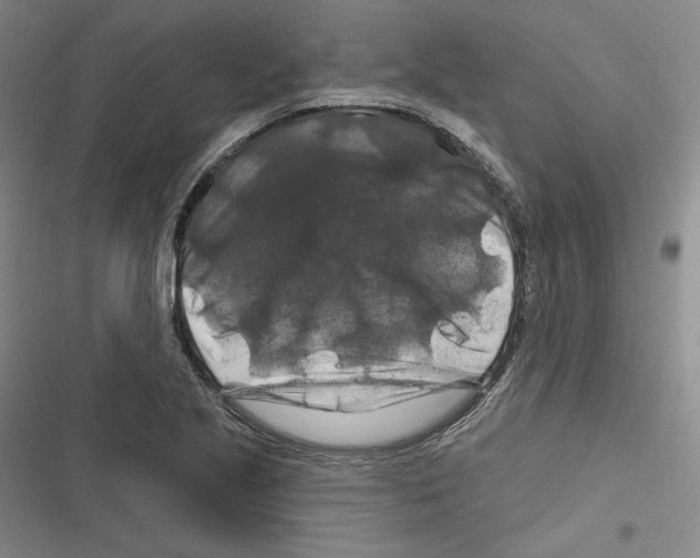 X0000116281221201001111028