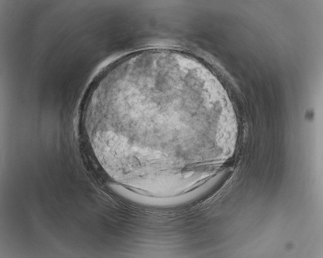 X0000116281222201001111028