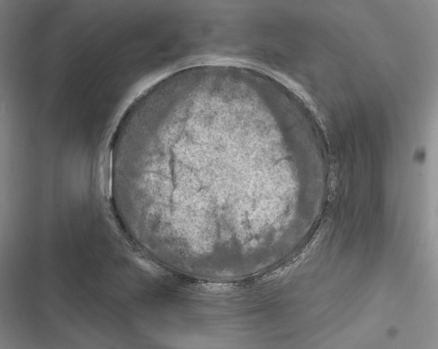 X0000116281223201001111028