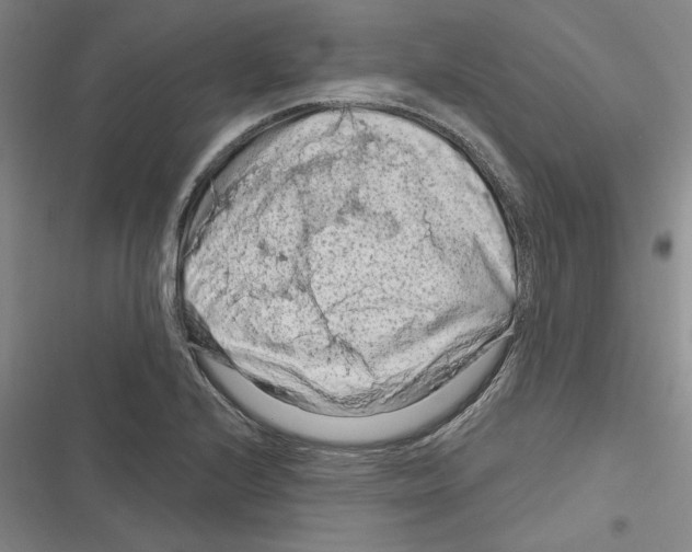 X0000116281224201001111028