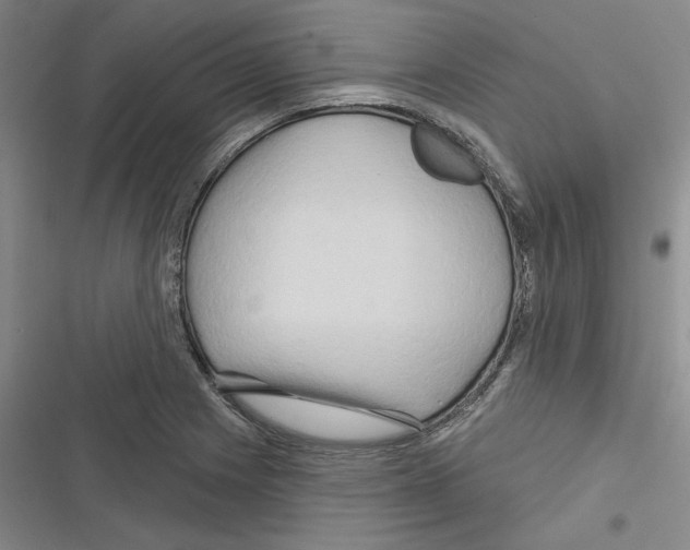 X0000116281225201001111028