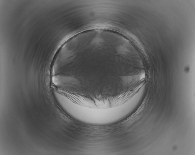 X0000116281226201001111028
