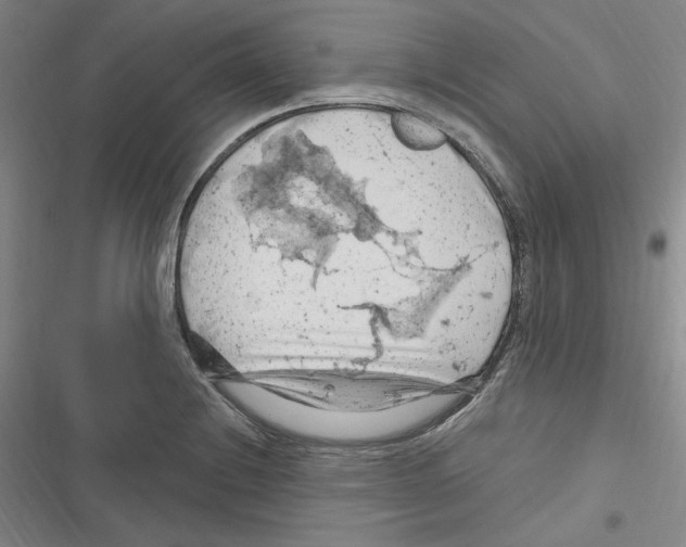 X0000116281228201001111028