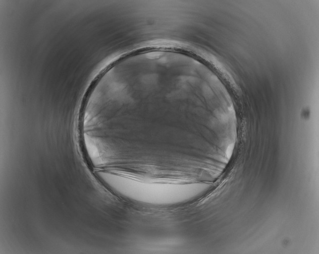 X0000116281229201001111028