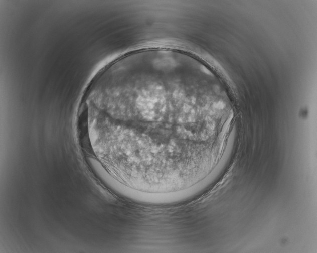 X0000116281230201001111028