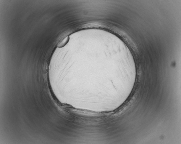 X0000116281233201001111028