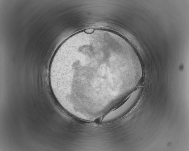 X0000116281234201001111028