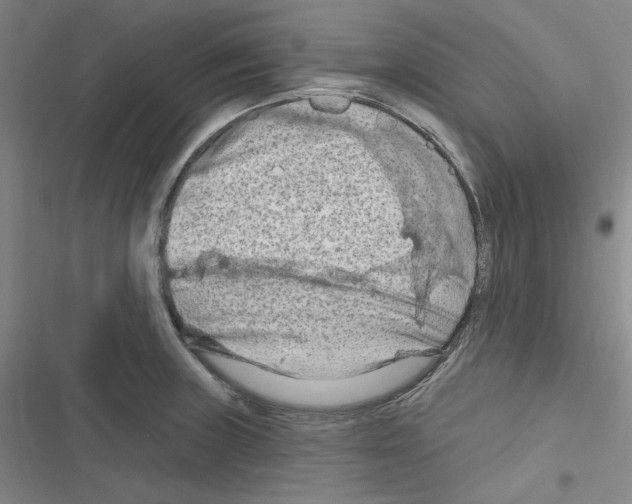 X0000116281235201001111028