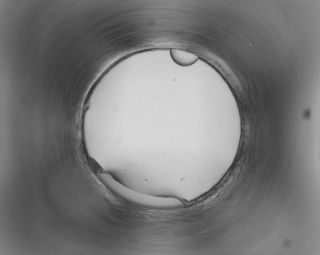 X0000116281236201001111028