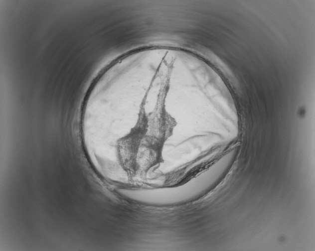 X0000116281240201001111028