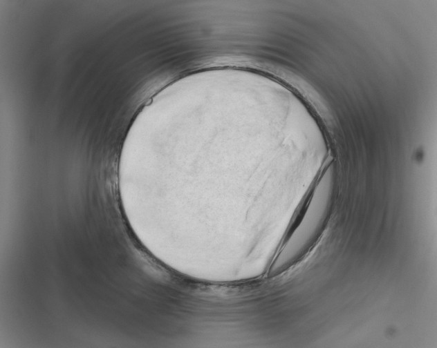 X0000116281241201001111028