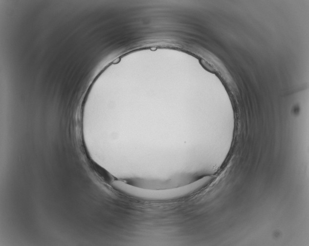 X0000116281242201001111028