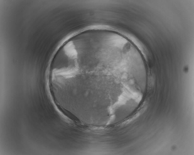 X0000116281245201001111029