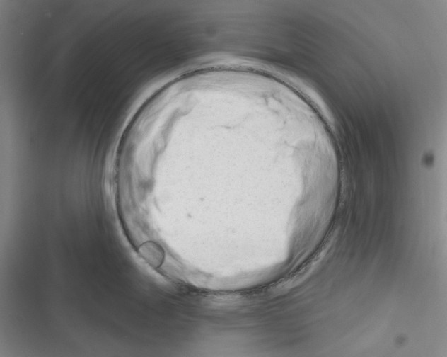 X0000116281247201001111029