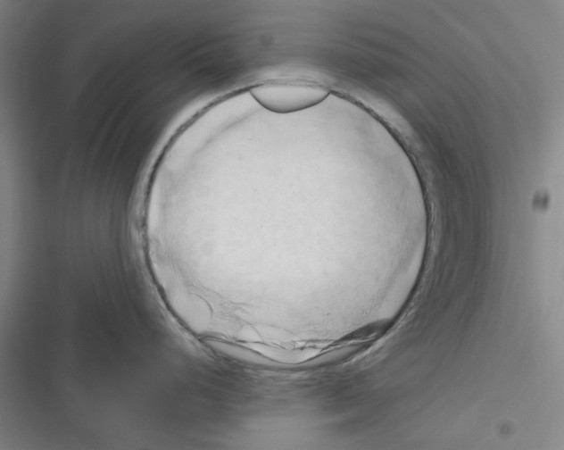 X0000116281248201001111029