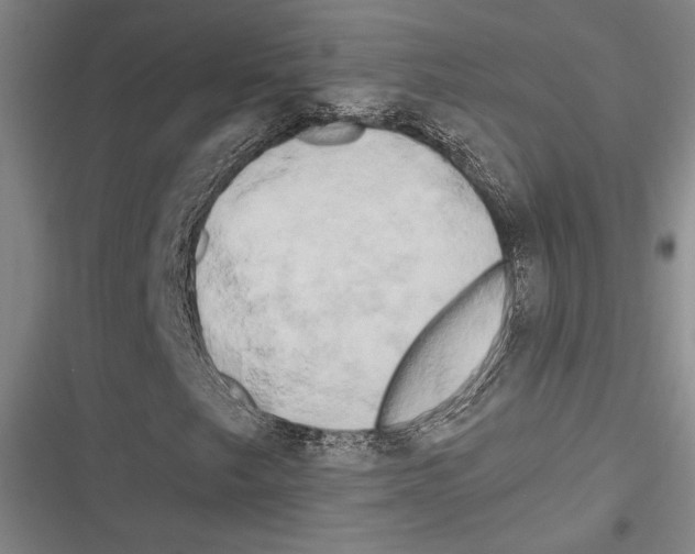 X0000116281249201001111028