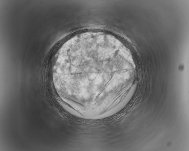 X0000116281255201001111028