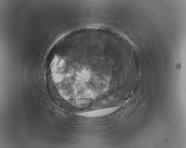 X0000116281256201001111028
