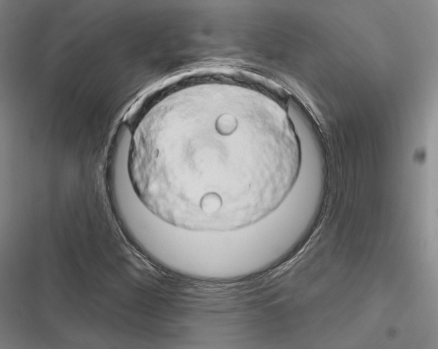 X0000116281260201001111028
