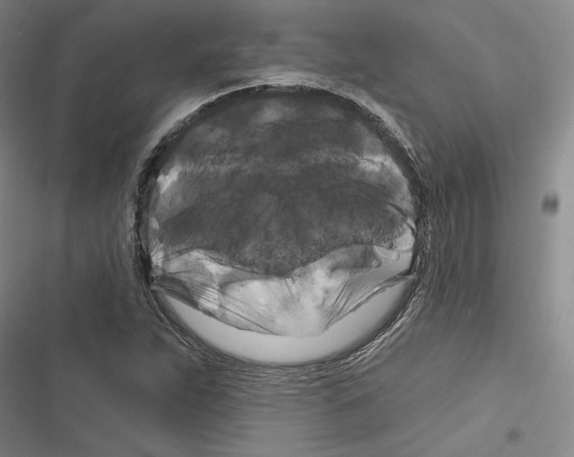 X0000116281263201001111028