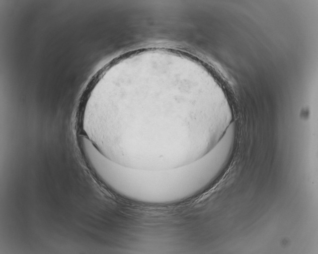 X0000116281264201001111028