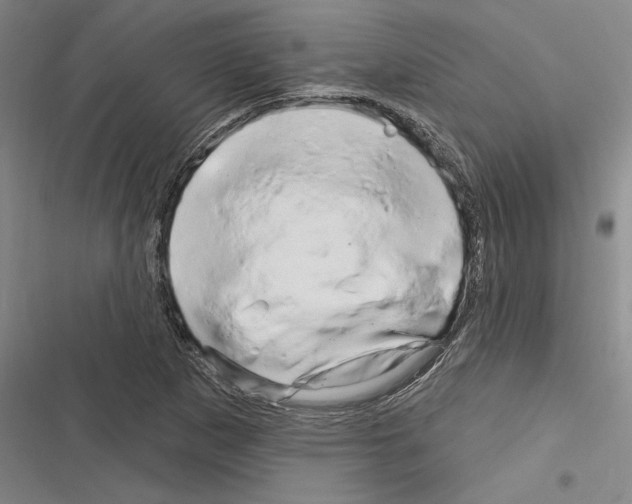 X0000116281265201001111028