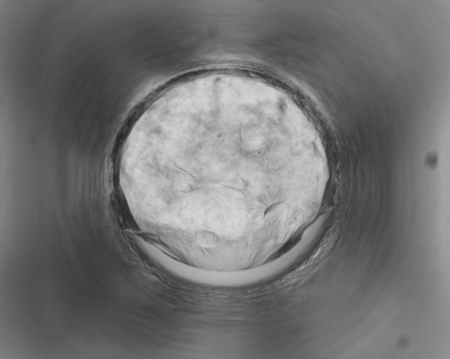 X0000116281267201001111028