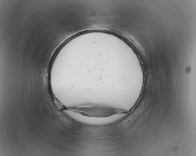X0000116281268201001111028