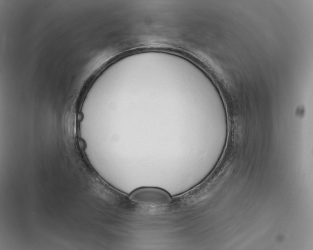 X0000116281269201001111028