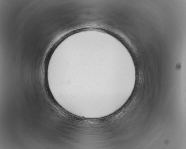 X0000116281270201001111028