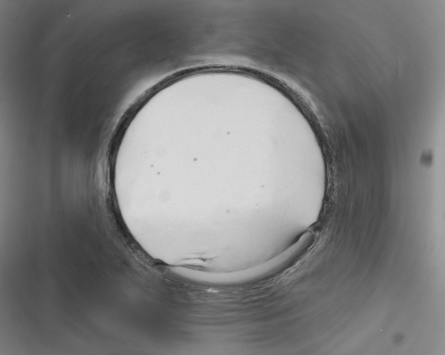 X0000116281271201001111028