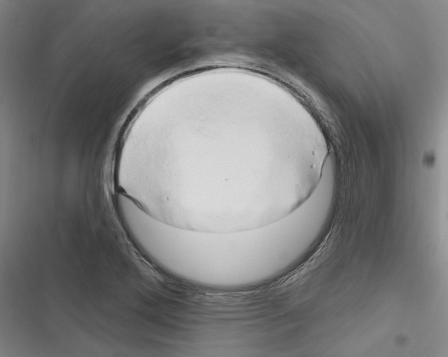 X0000116281272201001111028