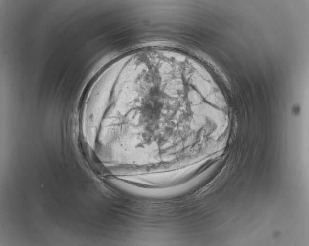X0000116281274201001111028