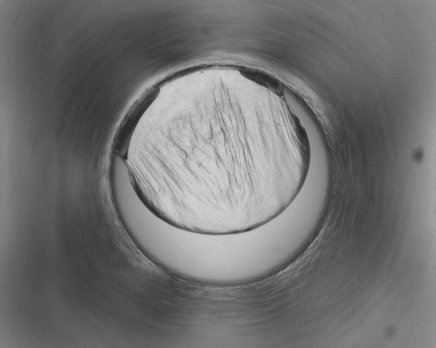 X0000116281280201001111028