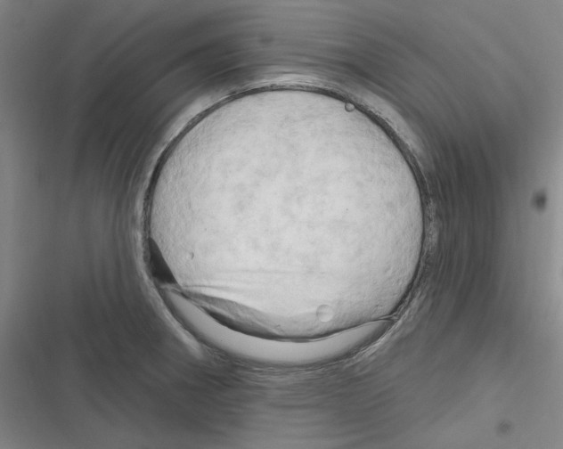 X0000116281282201001111027