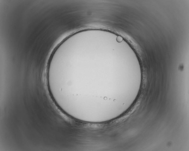 X0000116281286201001111027
